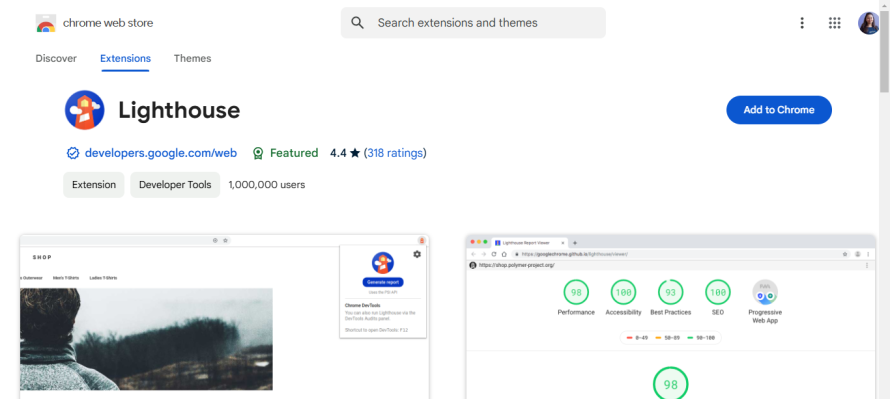 Google Lighthouse’s homepage.